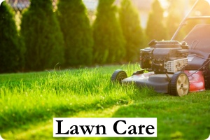 LAWN CARE